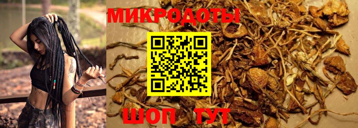 Галлюциногенные грибы GOLDEN TEACHER  Галлюциногенные грибы Cubensis  Кушва  Вход с VPN 
